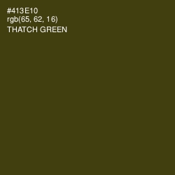 #413E10 - Thatch Green Color Image